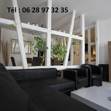 Gite hyper centre 10 pers Colmar Esterno foto