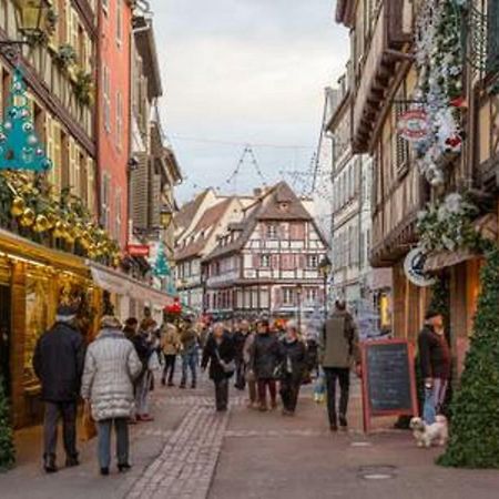 Gite hyper centre 10 pers Colmar Esterno foto